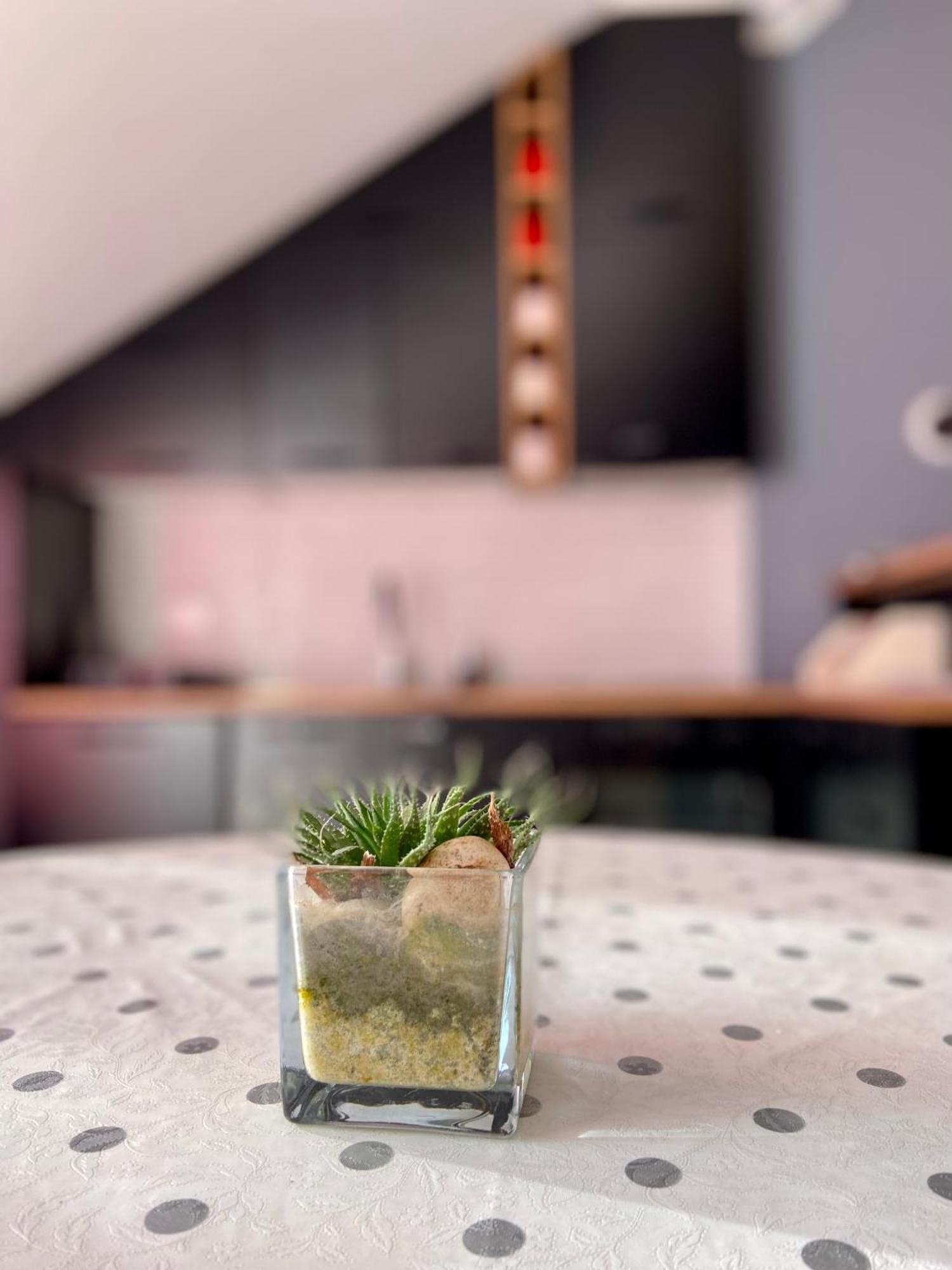 Banicevic Apartmani Ðenovići Bagian luar foto